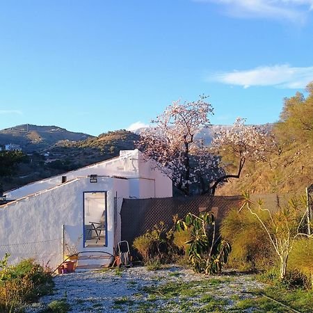 Finca El Almendro Árchez Екстериор снимка