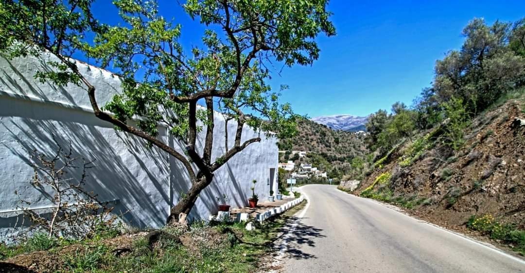 Finca El Almendro Árchez Екстериор снимка