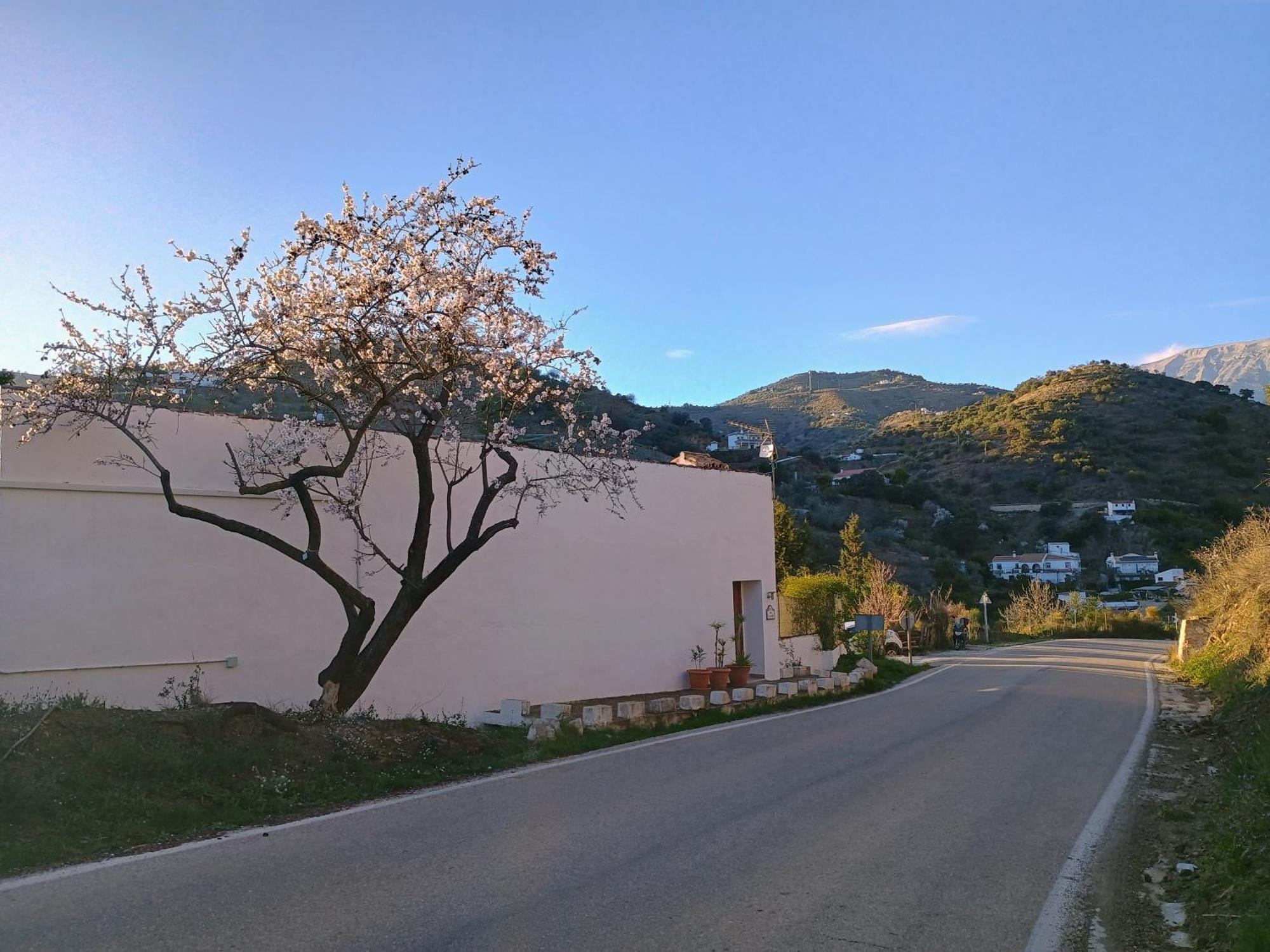 Finca El Almendro Árchez Екстериор снимка