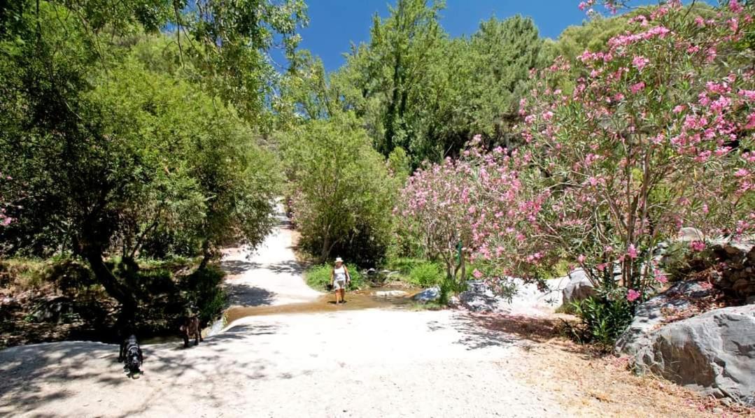 Finca El Almendro Árchez Екстериор снимка